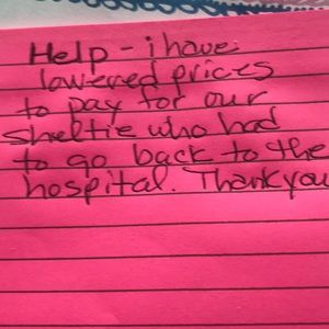 Fur. Help with medical bills.All items marked down